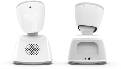 Staying connected: implementing avatar robots at schools in Germany and Japan
